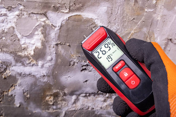Best Fast Mold Removal  in St Ann, MO