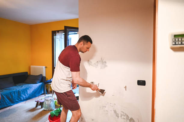 Best Mold Removal Company Near Me  in St Ann, MO